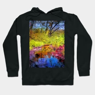 Forest Stream Hoodie